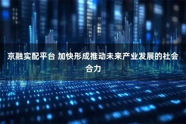 京融实配平台 加快形成推动未来产业发展的社会合力