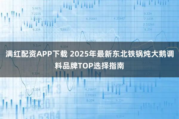 满红配资APP下载 2025年最新东北铁锅炖大鹅调料品牌TOP选择指南