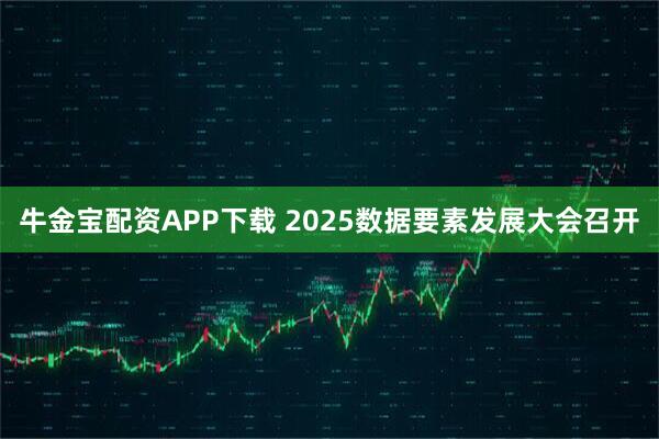 牛金宝配资APP下载 2025数据要素发展大会召开