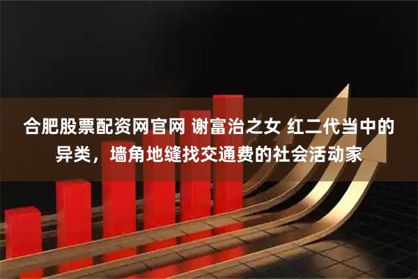 合肥股票配资网官网 谢富治之女 红二代当中的异类，墙角地缝找交通费的社会活动家