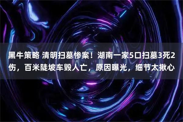 黑牛策略 清明扫墓惨案！湖南一家5口扫墓3死2伤，百米陡坡车毁人亡，原因曝光，细节太揪心